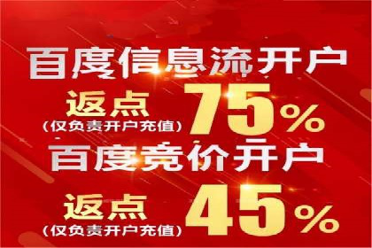 SEM竞价优化实战技巧：案例展示广告投放优化